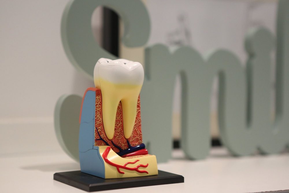 Curso de Rehabilitación Oral